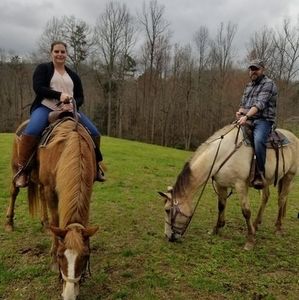 Meet your Posher, Brent season